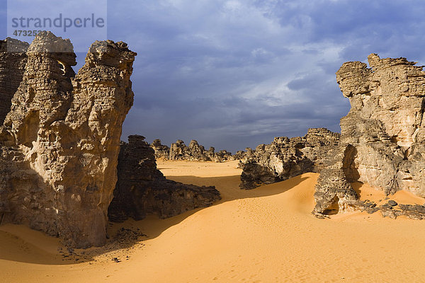 Steinwüste  Tassili Maridet  libysche Wüste  Libyen  Sahara Nordafrika  Afrika