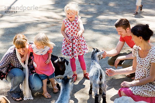 Familie Füttern von Ziegen im zoo