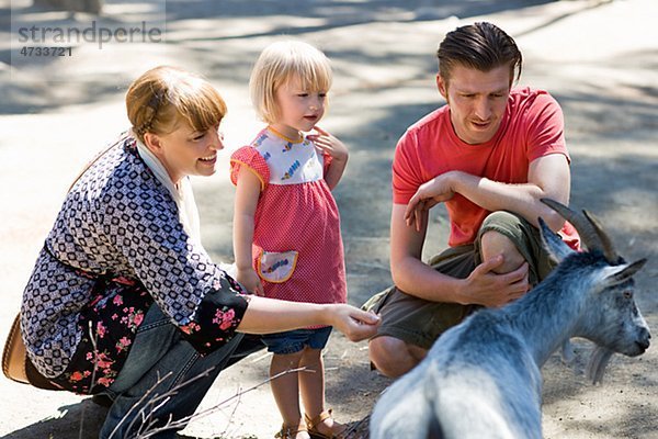 Eltern und Tochter mit Ziege im zoo