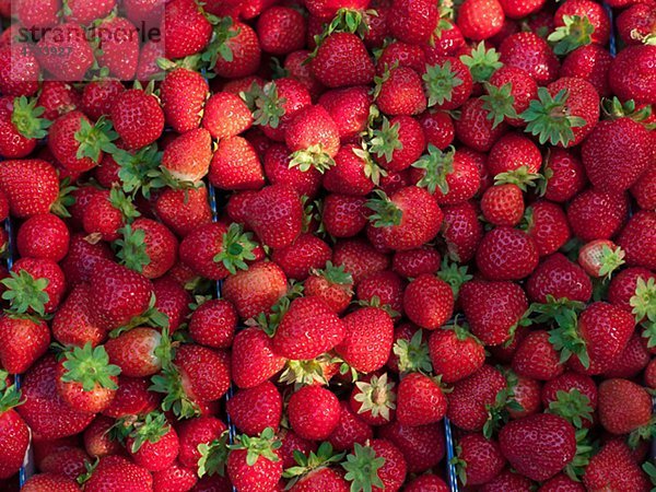 Heap Erdbeeren  full-frame