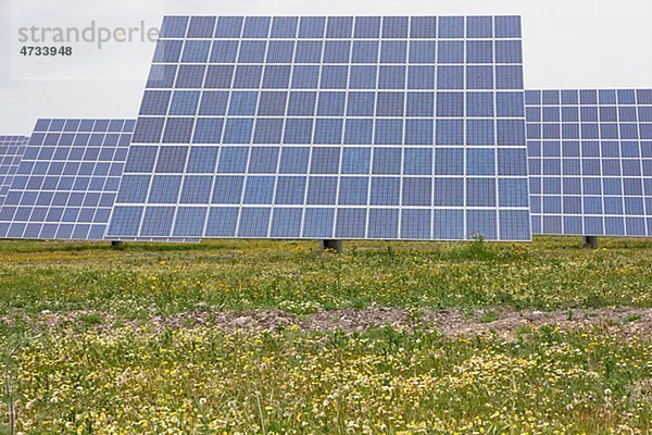 Solar-Panels auf Gras