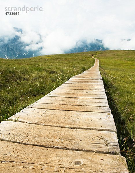 Hölzerne Boardwalk auf Wiese