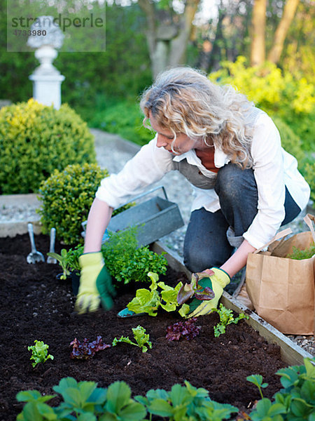 Frau reifer Erwachsene reife Erwachsene Garten keimen anpflanzen