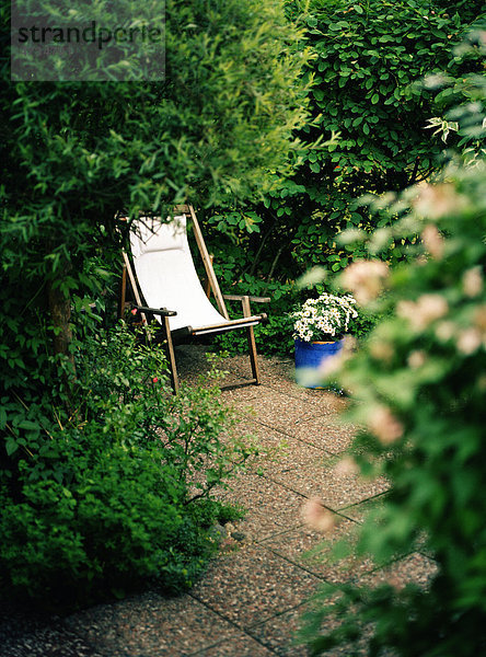 leer Stuhl Botanik Überfluss Garten Sonne