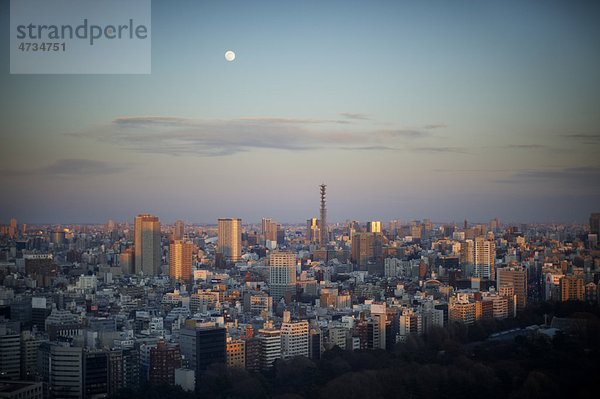 Erhöhte Ansicht der Tokyo Großstadt in der Dämmerung