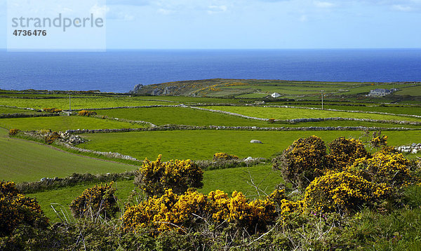 England  Cornwall  Kerrowe  Landschaft