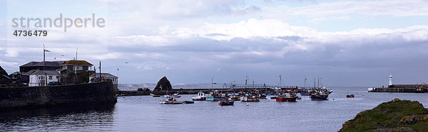 Hafen Mevagissey Cornwall England