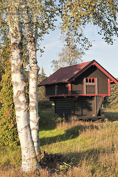 Alter Speicher in der Telemark  Norwegen  Skandinavien  Europa