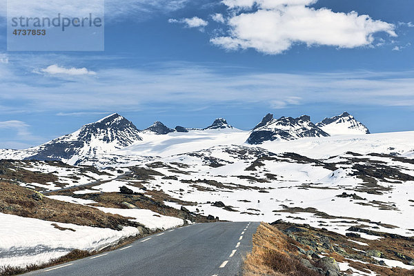 Berg Sognefjell  Norwegen  Skandinavien  Europa