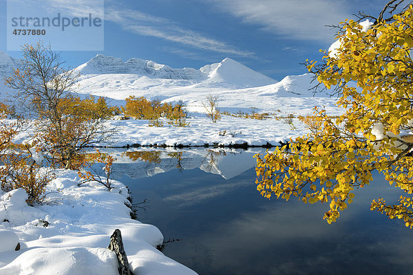 Winter im Rondane Nationalpark  Norwegen  Skandinavien  Europa