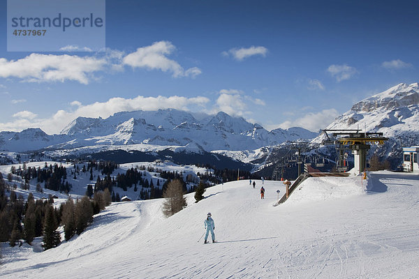 Skiregion Alta Badia  La Villa Stern  hinten der Marmolada Gletscher  3342 m  Dolomiten  Italien  Europa