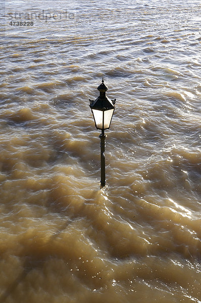 Straßenlaterne im Hochwasser auf der Rheinpromenade in Rees  Niederrhein  Nordrhein-Westfalen  Deutschland  Europa