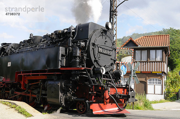 Dampflokomotive in Wernigerode  Sachsen-Anhalt  Deutschland  Europa