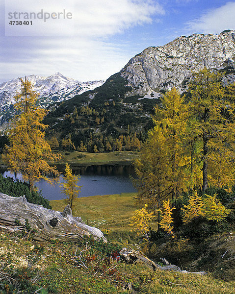 Steirer See  Tauplitzalm  Salzkammergut  Steiermark  Österreich  Europa
