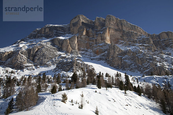 Heiligkreuzkofel  2908m  Kreuzkofelgruppe  Naturpark Fanes-Sennes-Prags  Gadertal  Badia Abtei  Dolomiten  Südtirol  Italien  Europa