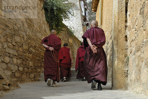 Tibetische Mönche  Kloster Drepung  Lhasa  Tibet  China  Asien