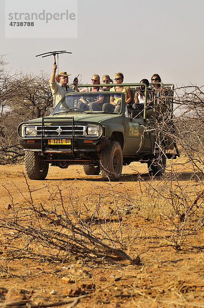 Ortung von Geparden mit Sendehalsband mit einer Antenne auf dem Gelände der Gästefarm Okonjima  Namibia  Afrika
