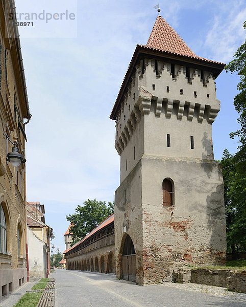 Wehrmauer mit Türmen in der Strada Cetatii  Sibiu  Hermannstadt  Rumänien  Europa