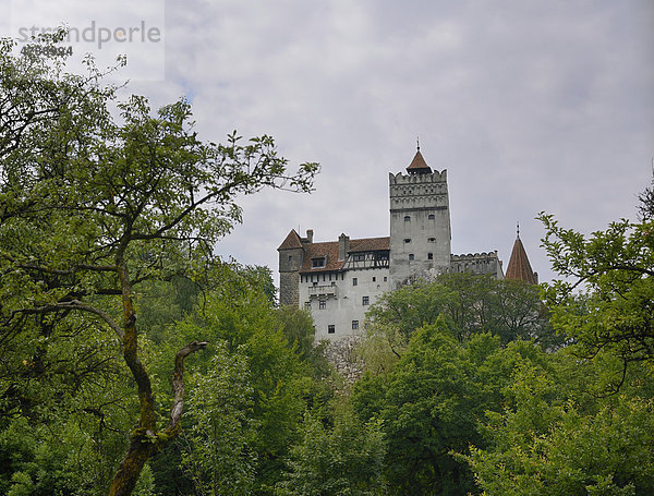 Burg Bran  Törzburg  Rumänien  Europa