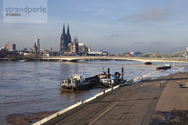 Hochwasser am Rhein  Köln  Nordrhein-Westfalen  Deutschland  Europa