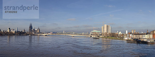 Panorama bei Hochwasser am Rhein  Köln  Nordrhein-Westfalen  Deutschland  Europa