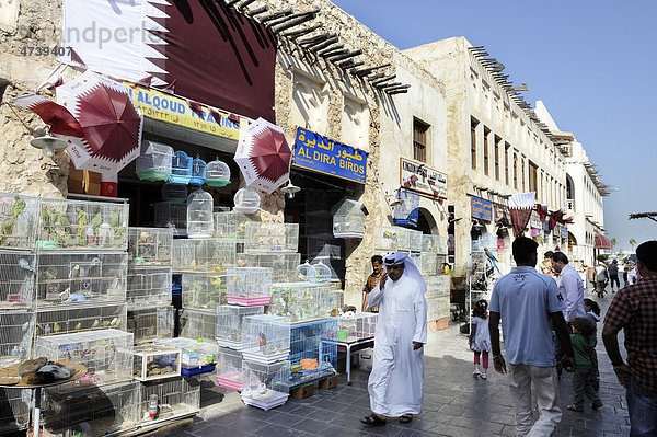 Tiermarkt im Souq al Waqif  ältester Souq  Bazar  des Landes  Doha  Emirat Katar  Qatar  arabische Halbinsel  Persischer Golf  Naher Osten  Asien