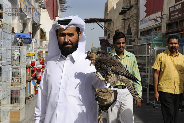 Mann mit Jagdfalke auf dem Arm  Tiermarkt im Souq al Waqif  ältester Souq  Bazar  des Landes  Doha  Emirat Katar  Qatar  arabische Halbinsel  Persischer Golf  Naher Osten  Asien