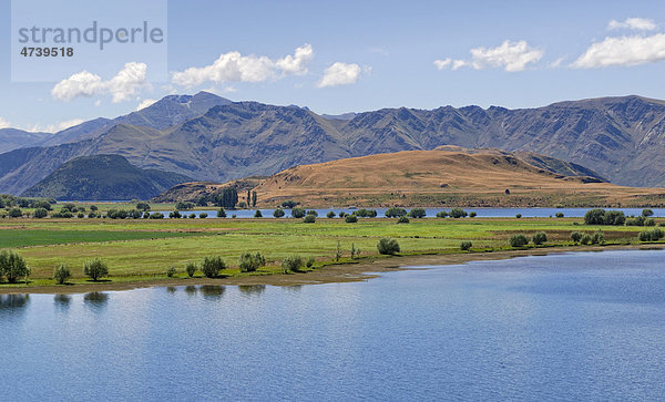 Blick über Parkins Bay auf Roys Peninsula  Lake Wanaka  Südinsel  Neuseeland