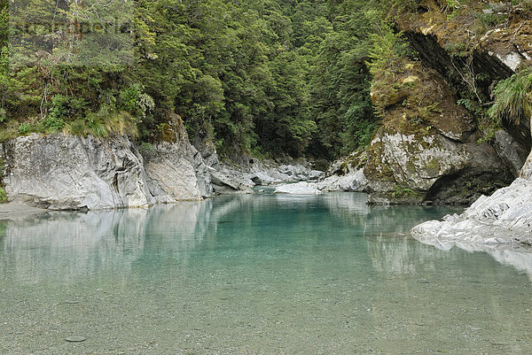 Blue Pools bei Makarora  Highway 6  Südinsel  Neuseeland
