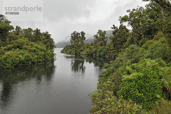 Lake Moeraki und Moeraki River  bei Haast  Highway 6  Südinsel  Neuseeland