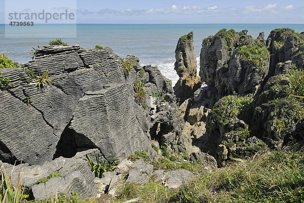 Pancake Rocks  Paparoa Nationalpark  Tasman Sea  Westküste  Südinsel  Neuseeland