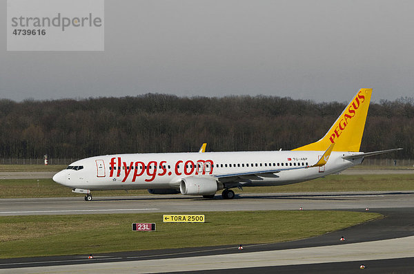 Türkische Pegasus Airlines Boeing 737-82R mit Winglets  Rollfeld Hinweis TORA 2500  maximal verfügbare Strecke bis zum Abheben  Flughafen Düsseldorf International  Nordrhein-Westfalen  Deutschland  Europa