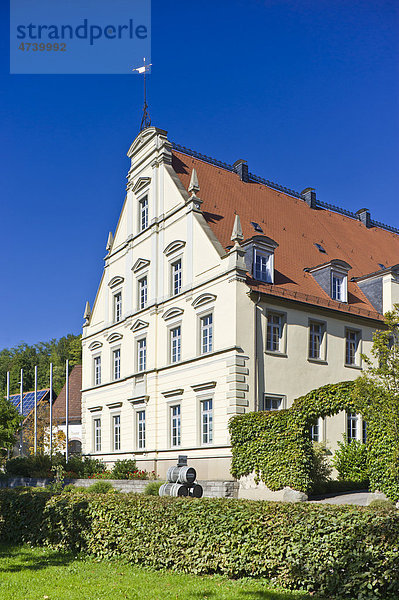Neues Schloss Rathaus  Neckarzimmern  Neckartal  Baden-Württemberg  Deutschland  Europa