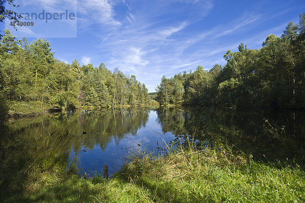 Neckarursprung Schwenninger Moos  Villingen-Schwenningen  Schwarzwald  Baden-Württemberg  Deutschland  Europa