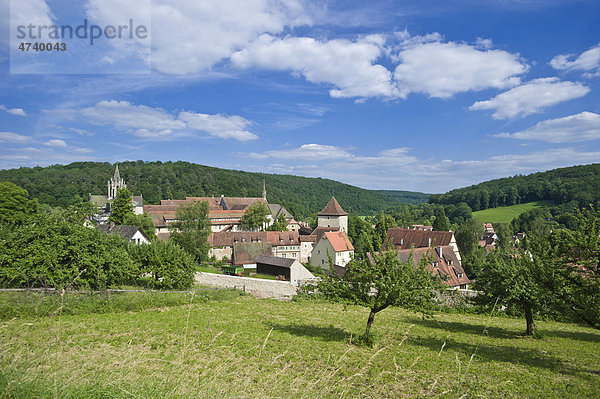 Ortsbild mit Schloss und Kloster  Bebenhausen  Tübingen  Schwäbische Alb  Baden-Württemberg  Deutschland  Europa