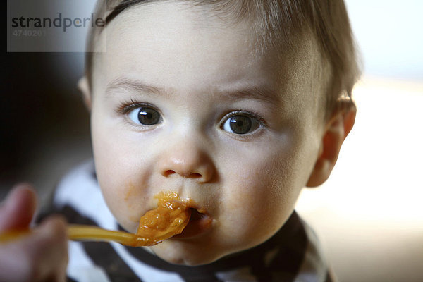 Kleiner Junge  8 Monate  wird mit Möhrenbrei gefüttert