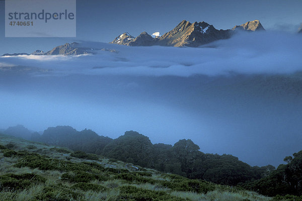 Nebel vor Mount Christina  Key Summit  Routeburn Track  Fiordland Nationalpark  Südinsel  Neuseeland