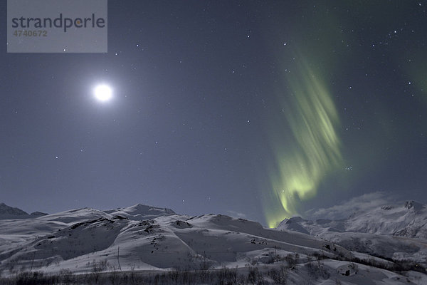 Nordlichter (Aurora borealis) und Mond über dem Berg Sildpollheia  bei Sildpollneset  Austnesfjorden  AustvÂg¯ya  Lofoten  Norwegen  Europa