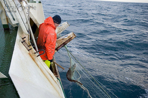 Fischer auf einem kleinen Seitentrawler beim Einholen des Netzes beim Dorschfang  Brei_afjör_ur  Island  Europa