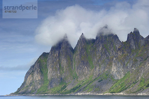 Okshornan  Tungeneset  Steinfjorden  Senja  Troms  Norwegen  Europa