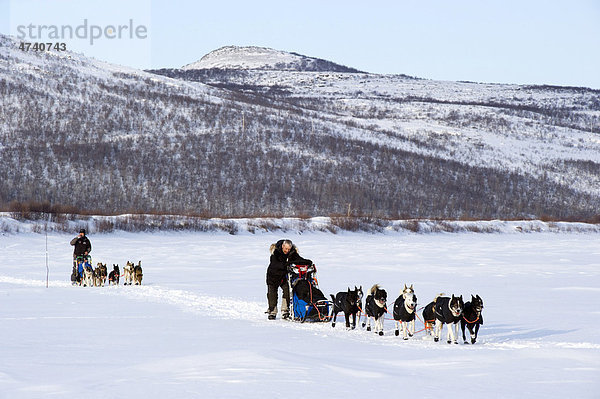Die Gewinner des Finnmarksl¯pet 2010 und Favoriten für die kommenden Rennen: Ralph Johannessen  rechts  und Robert Sörli  links  Finnmarksl¯pet  nördlichstes Schlittenhunderennen der Welt  Finnmark  Lappland  Norwegen  Europa