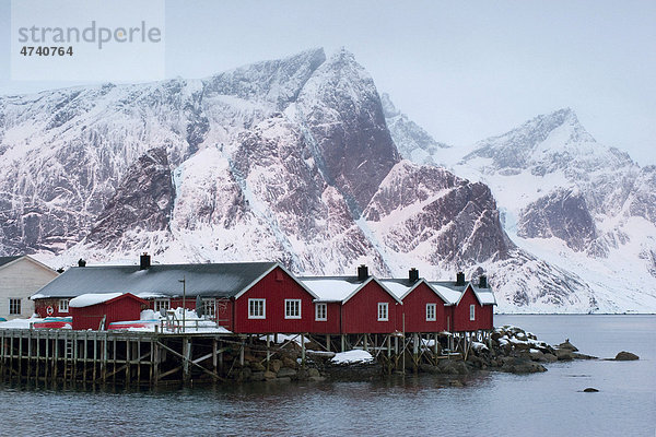Traditionelle Holzhäuser  Rorbuer  in Reine  Moskenes  Moskenes¯ya  Lofoten  Norwegen  Europa