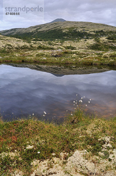 Landschaft im Rondane Nationalpark  nahe Bj¯rnhollia  Norwegen  Europa