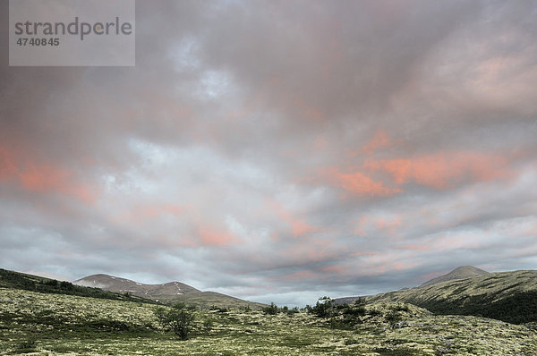 Landschaft im Rondane Nationalpark  nahe Bj¯rnhollia  Norwegen  Europa