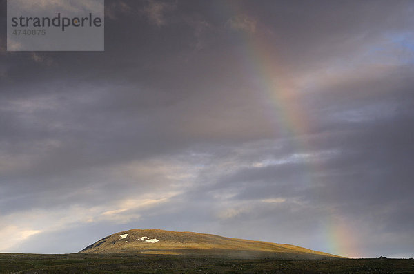 Regenbogen über Fjelllandschaft  Jotunheimen Nationalpark  Norwegen  Skandinavien  Europa