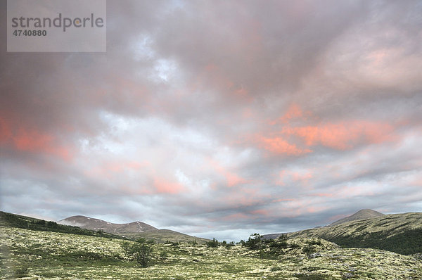 Fjelllandschaft nahe Bjornhollia im Rondane Nationalpark  Norwegen  Skandinavien  Europa