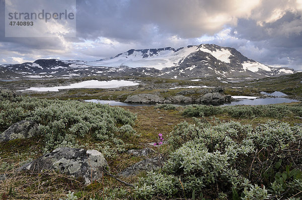 Blick auf den Fannaraki und Fannarakbreen  Gebirgslandschaft im Jotunheimen Nationalpark  Norwegen  Skandinavien  Europa
