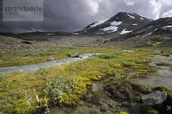 Leirdalen  Gebirgslandschaft im Jotunheimen Nationalpark  Norwegen  Skandinavien  Europa
