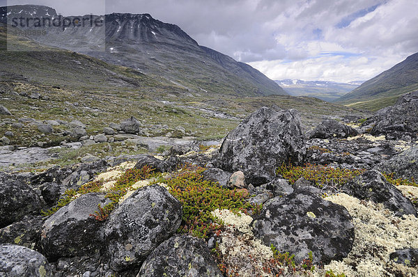Leirdalen  Gebirgslandschaft im Jotunheimen Nationalpark  Norwegen  Skandinavien  Europa
