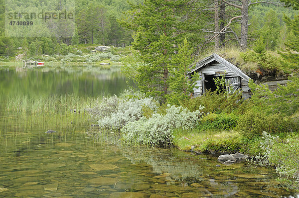 Alte Hütte an einem See  Lemonsj¯en  Norwegen  Skandinavien  Europa